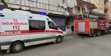 Antalya'da Yangın: Muhabbet Kuşu Kurtarıldı