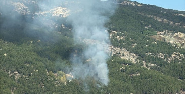 Muğla'da Orman Yangını: Havadan ve Karadan Mücadele