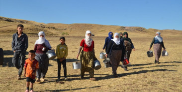 Muş'ta Kadınların Süt Sağım Mesaisi Devam Ediyor