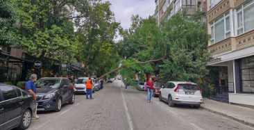 Samsun'da Ağaç Otomobile Devrildi