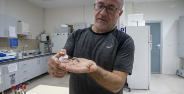 Türk Akademisyenler Mürekkep Balığından Güneş Kremi Geliştirdi