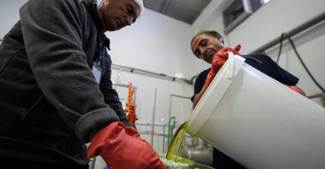 Anadolu'dan Geleneksel Güzellik Tarifleri Kozmetik Sektörünü Canlandırıyor