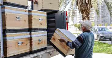 Antalya Büyükşehir Belediyesi, arıcılara toplamda 408 arı kovanı dağıtarak üreticilere önemli bir destek sağladı.