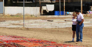 Antalya'daki halı tarlalarında renk cümbüşü