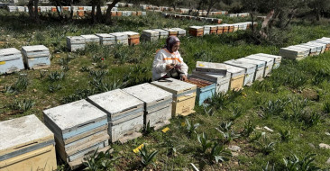 21 yaşındaki Latife Gül Kaplan, devlet desteğiyle arıcılıkta başarıya ulaştı.