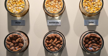 BATEM, 191 tescilli ürünüyle Türkiye'nin tarım sektörüne önemli katkılarda bulunuyor.