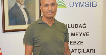 Bursa Siyah İnciri İhracatında Ciddi Sorunlar Yaşanıyor
