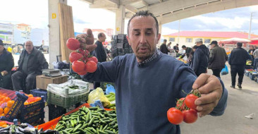 Domates Fiyatları 150 TL'ye Çıktı: Soğuk Hava Etkisi