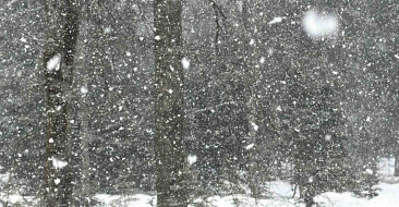 Düzce'de Kar Kalınlığı 1 Metreyi Aştı