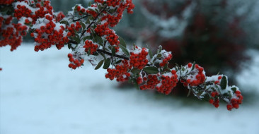 Eskişehir'de Kar Yağışı Etkili Oldu