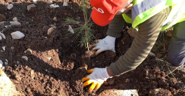 Gabar'da Fidan Dikim Seferberliği Başlatıldı