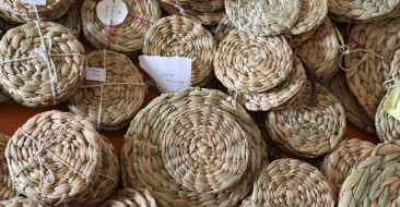 Hatay'da Su Sümbülleri Ekonomiye Katkı Sağlıyor