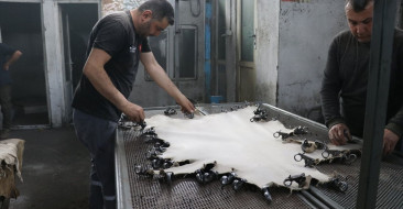Isparta'da işlenen keçi derileri, ayakkabı astarlarında kullanılarak Türkiye'nin üretimini destekliyor.