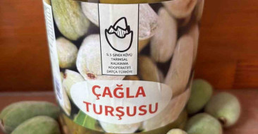 Muğla'da kadın üreticiler, çağla turşusu sayesinde ekonomik katkı ve bölgesel kalkınma sağlıyor.