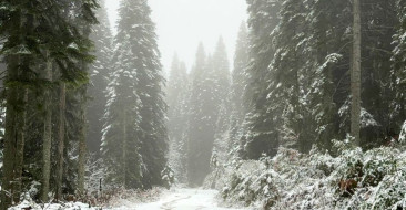 Karabük'te Kış Geliyor: Keltepe ve Sarıçiçek Yaylası Karla Kaplandı