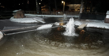 Kuğulu Park'taki Buzlu Manzara