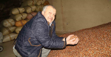 Kurban Bayramı Öncesi Fındık Fiyatlarındaki Düşüş