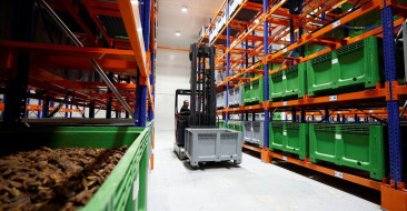 Malatya Kayısısının Dünya Pazarındaki Gücü