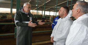 Tarım ve Orman Bakanlığı, Malatya'da 1,5 milyon doz hayvan aşılaması yapacak.