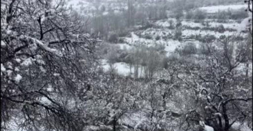 Malatya'da Kar Yağışı Kayısı Bahçelerini Beyazlarla Kapladı