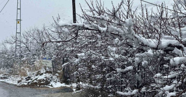 Malatya'da Kayısı Bahçeleri Karla Kaplandı