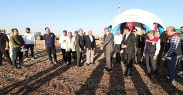 Mardin Valisi Tuncay Akkoyun, bu yıl kentte 1 milyon 279 bin dekar alanda buğday ekimi yapıldığını ve 709 bin ton rekolte beklediklerini açıkladı.