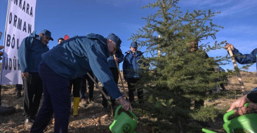 PTT AŞ 185. Yılında Ağaçlandırma Etkinliği Düzenledi
