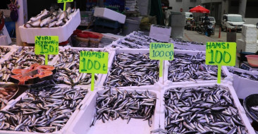 Rize'de Hamsi Fiyatları 100 Lira