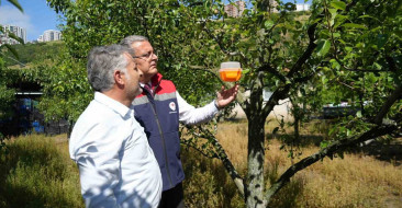Samsun’da akdeniz meyve sineği ile biyoteknik mücadele projesi başlatıldı