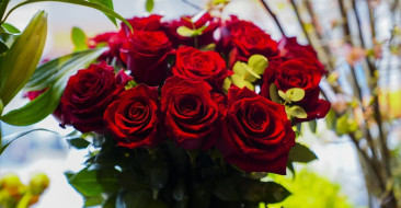 Sevgililer Günü Hazırlıkları Başladı