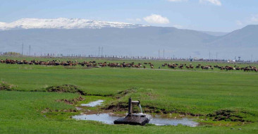 Erzurum'da çiftçilerin iklim değişikliğine karşı değişim eğilimleri araştırıldı. Önder üretici modeli önerildi.
