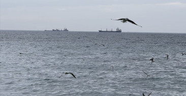 Tekirdağ'da Lodos Deniz Ulaşımını Aksatıyor