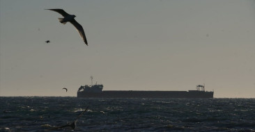 Tekirdağ'da Lodos Deniz Ulaşımını Olumsuz Etkiliyor