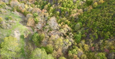 Tekirdağ'da Sonbahar Güzellikleri: Ganos Dağı Ormanları