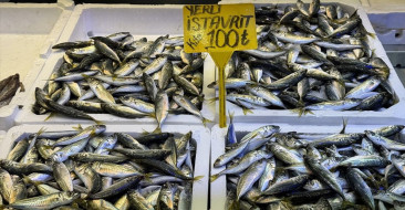 Trabzon'da Balık Fiyatları