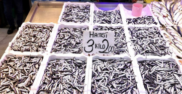 Trabzon'un balıkçı tezgahlarında hamsinin kilogram fiyatı 75 lira olarak belirlenirken, diğer balık çeşitleri de satılmakta.