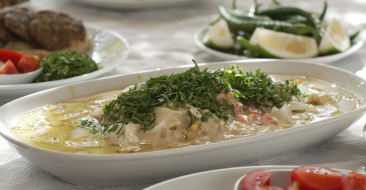 Türkiye Kültür Yolu Festivali: Sanat ve Lezzetlerin Buluşma Noktası