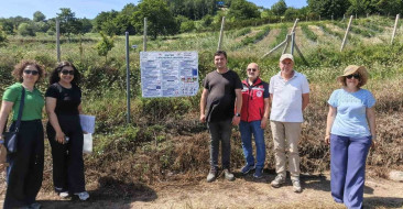 Yalova'da yaban mersininde iyi tarım uygulamaları denetleniyor