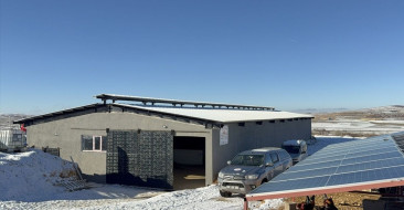 Yozgat'ta Damızlık Gebe Düve Desteği