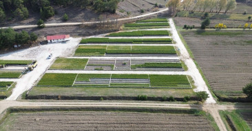 Yozgat'taki Orman Fidanlıkları İç Anadolu'yu Yeşertiyor