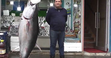 140 Kiloluk Dev Orkinos! Satışa Çıkarıldı