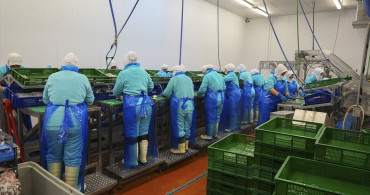 2025'te Su Ürünleri İhracatında Tarihi Rekor