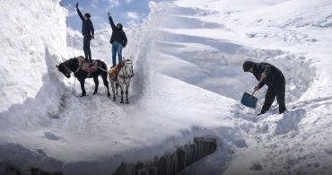 3-4 Metrelik Karla Yaşam Mücadelesi