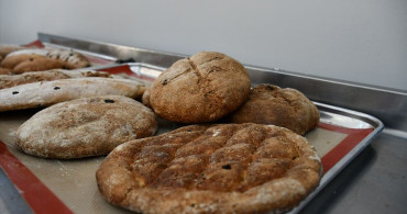 3 Bin Yıllık Ballı Arpa Ekmeği Yeniden Hayat Buldu