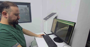 4 Kurşunla Vurulan Sokak Köpeği Hayata Döndü