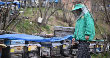 45 Yıldır Arıcılık Yapan Kadın Girişimci
