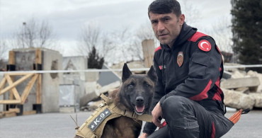 6 Şubat Depremlerinin Üçüncü Yılı: Arama Kurtarma Köpekleri Görevde