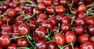 ABD - Çin Ticaret Savaşı Türk Kirazına Olan Talebi Artıracak 