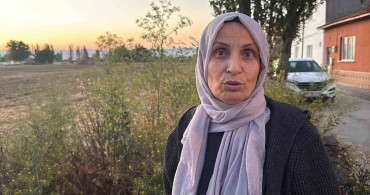Açıkta bırakılan hayvan gübresi mahalleliyi rahatsız ediyor