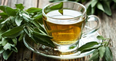 Adaçayının Faydaları Herkesi Şaşırtıyor